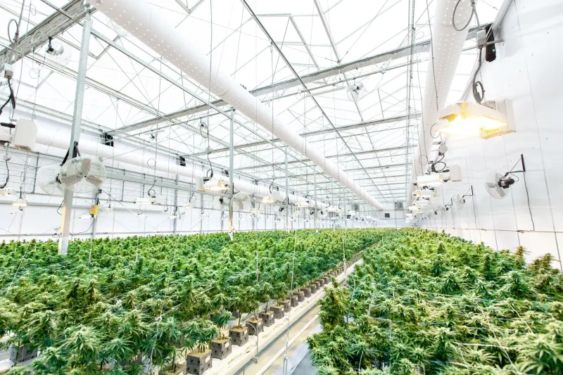 海口企业办公耗材采购指南：电脑配件与数码配件搭配方案正文配图 1