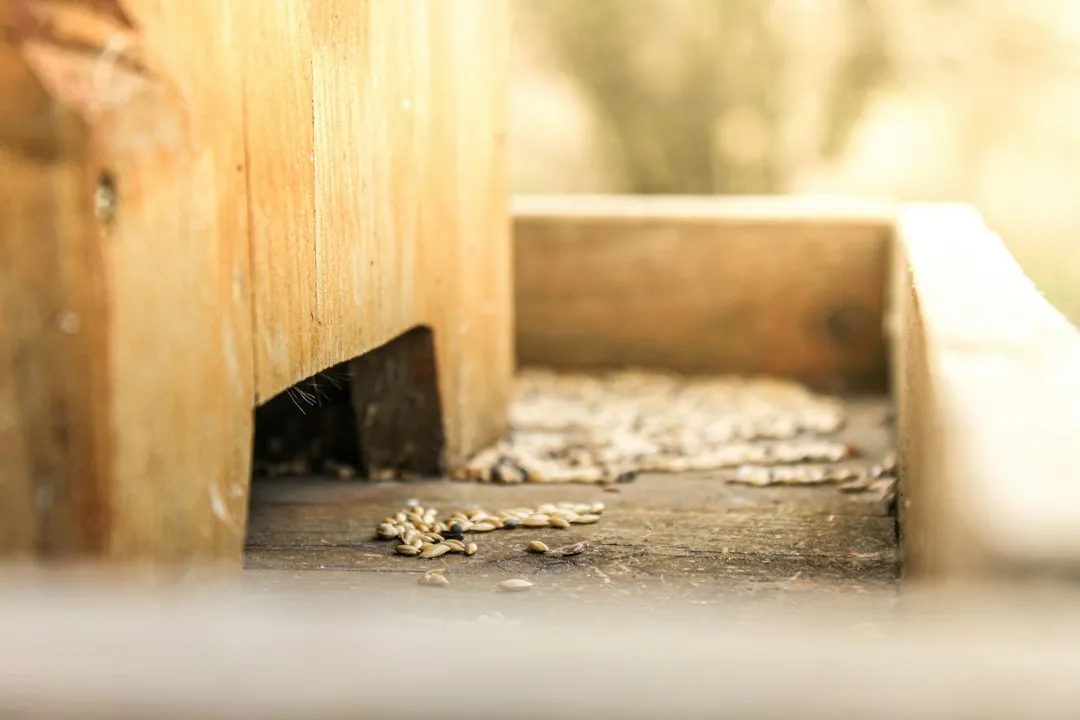 企业办公通讯设备升级指南：从电脑配件到数码配件的选型要点